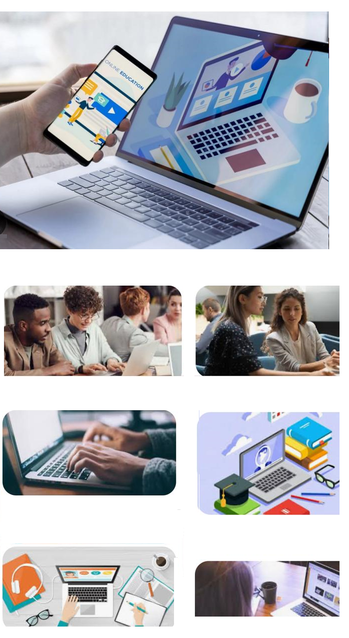 Diseño Curricular